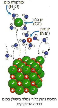 (בספר תמונה, היעזר במנחה)